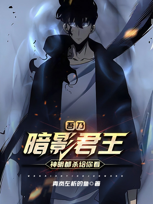 吾乃暗影君王，神明都殺給你看