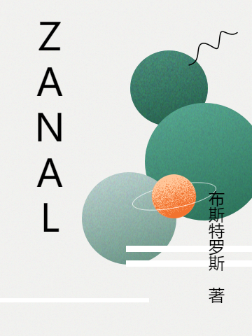 柳生私人小说ZANAL完整版阅读