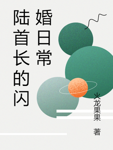 陆首长的闪婚日常在线免费看陆与北向晚晚小说无广告阅读