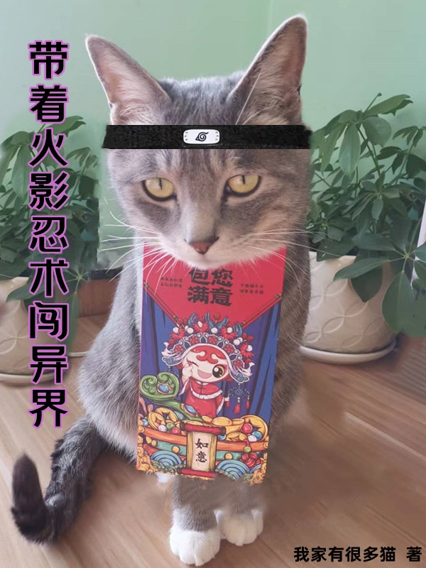 带着火影忍术闯异界小说完整版全文免费阅读