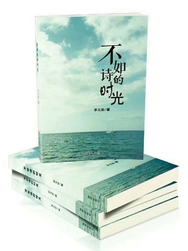 不如诗的时光免费阅读