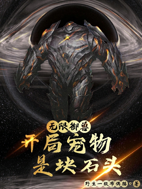 无限御兽：开局宠物是块石头在线阅读付寒小说免费看