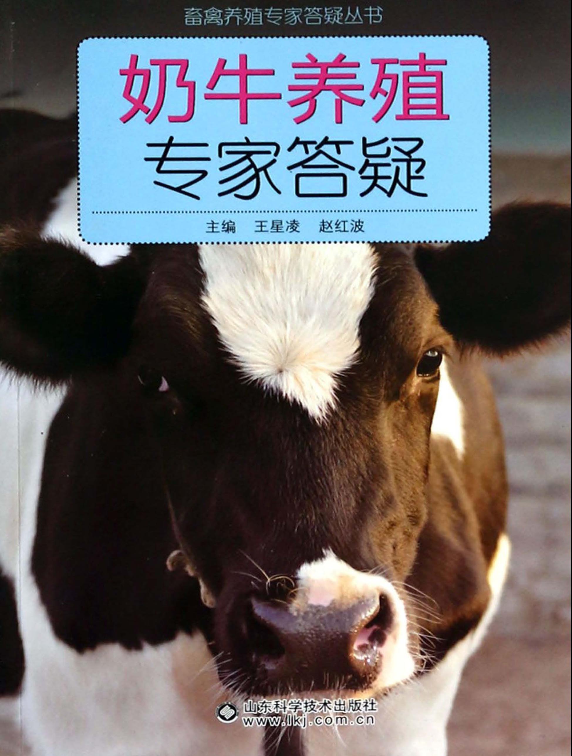 奶牛养殖专家答疑