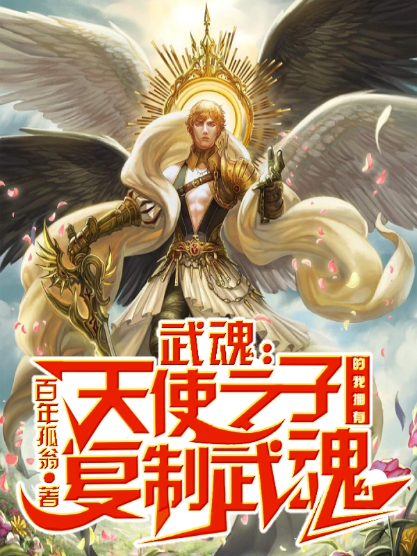 主人公叫刘天昊的小说武魂：天使之子的我拥有复制武魂在线阅读全文