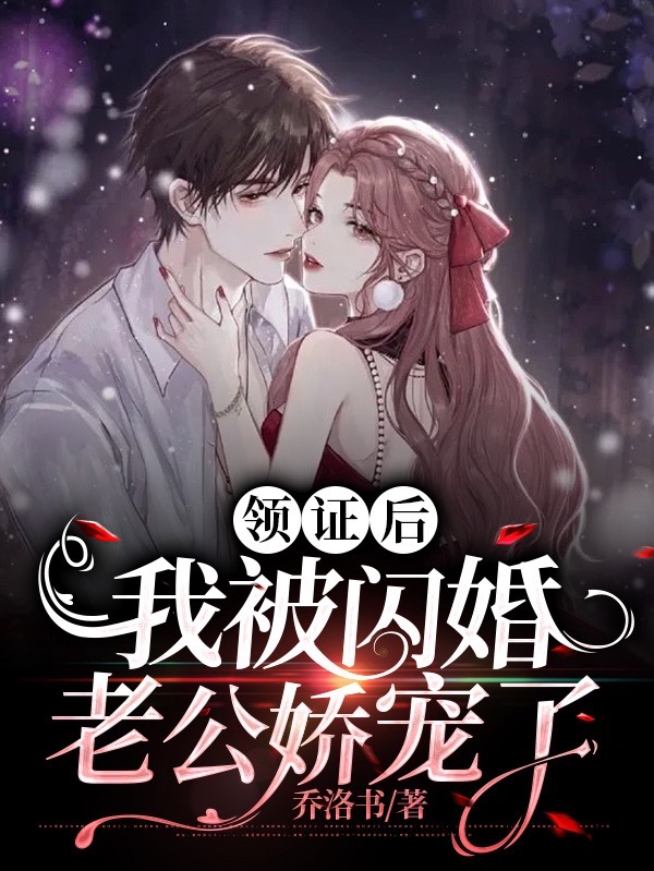 领证后，我被闪婚老公娇宠了小说，领证后，我被闪婚老公娇宠了乔慕橙陆垚