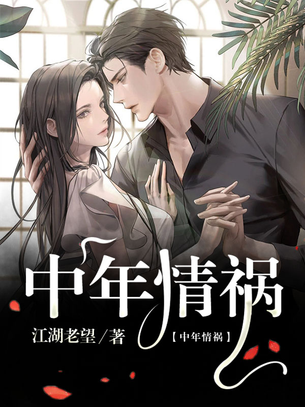 中年情祸小说主角贺宇辉唐可岩全文章节免费在线阅读