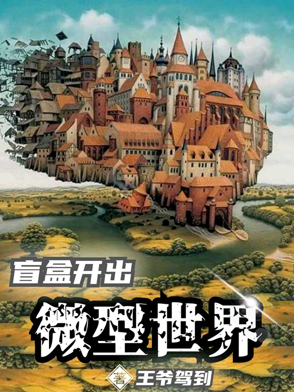 小说王辉在哪看，盲盒开出微型世界完整版阅读