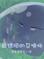 最猥琐的召唤师免费阅读，最猥琐的召唤师全文在线阅读-优文网