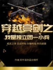 穿越亮剑之我是独立团一小兵免费阅读