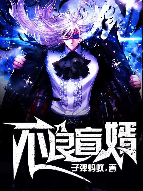 主人公叫叶无良的小说不良盲婿在线阅读全文