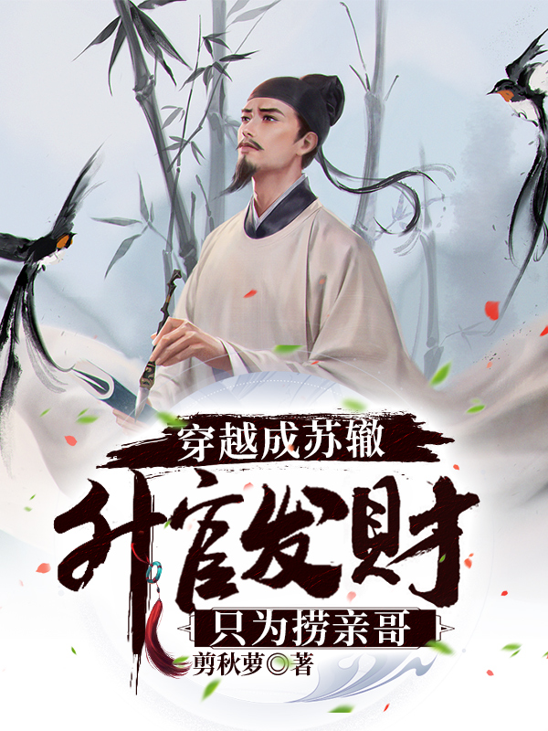穿越成苏辙，升官发财只为捞亲哥苏辙苏轼，穿越成苏辙，升官发财只为捞亲哥在线无弹窗阅读
