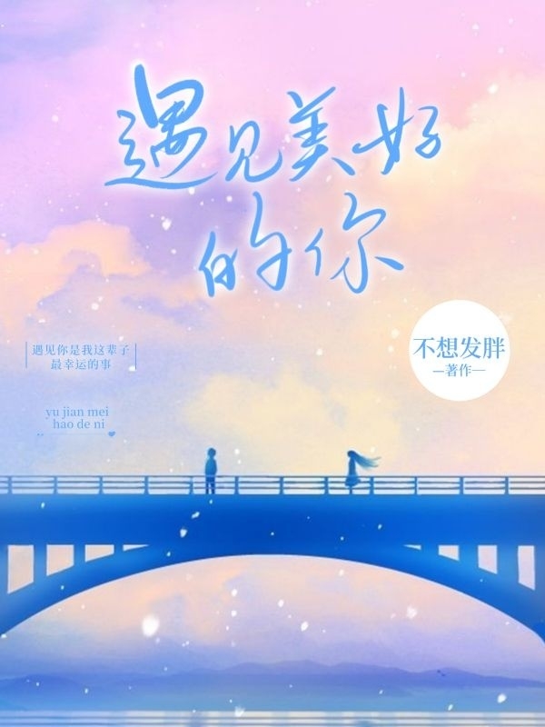 叶柠周林小说全文免费阅读遇见美好的你在线看
