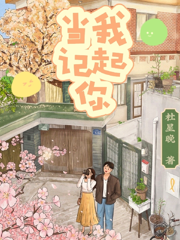 已完结小说《当我记起你》在线全文阅读