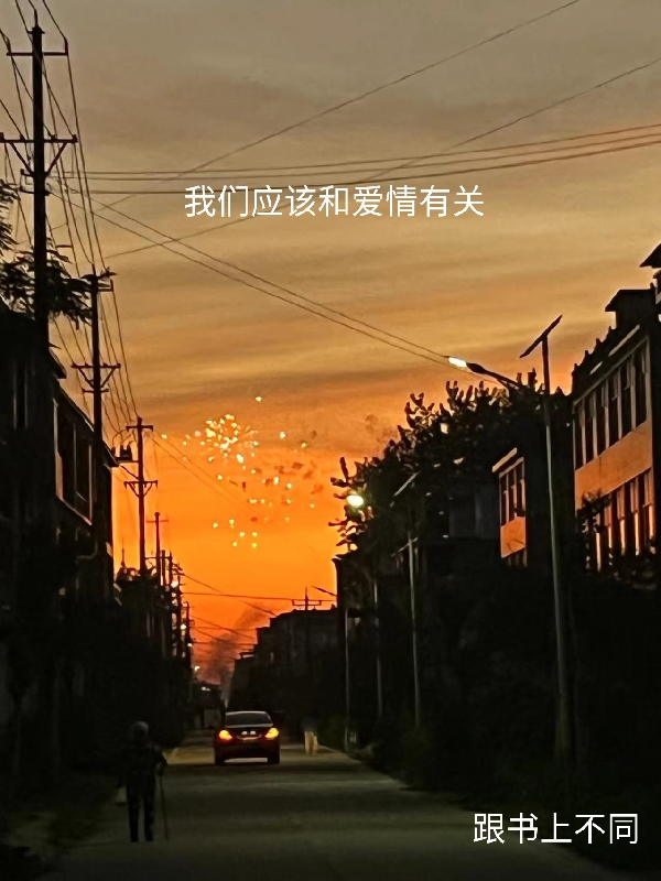 已完结小说《我们应该和爱情有关》全章节在线阅读
