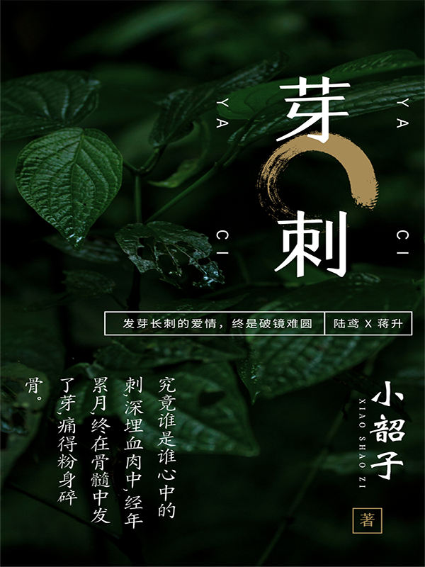 男女主人公叫陆鸢蒋升的小说免费资源