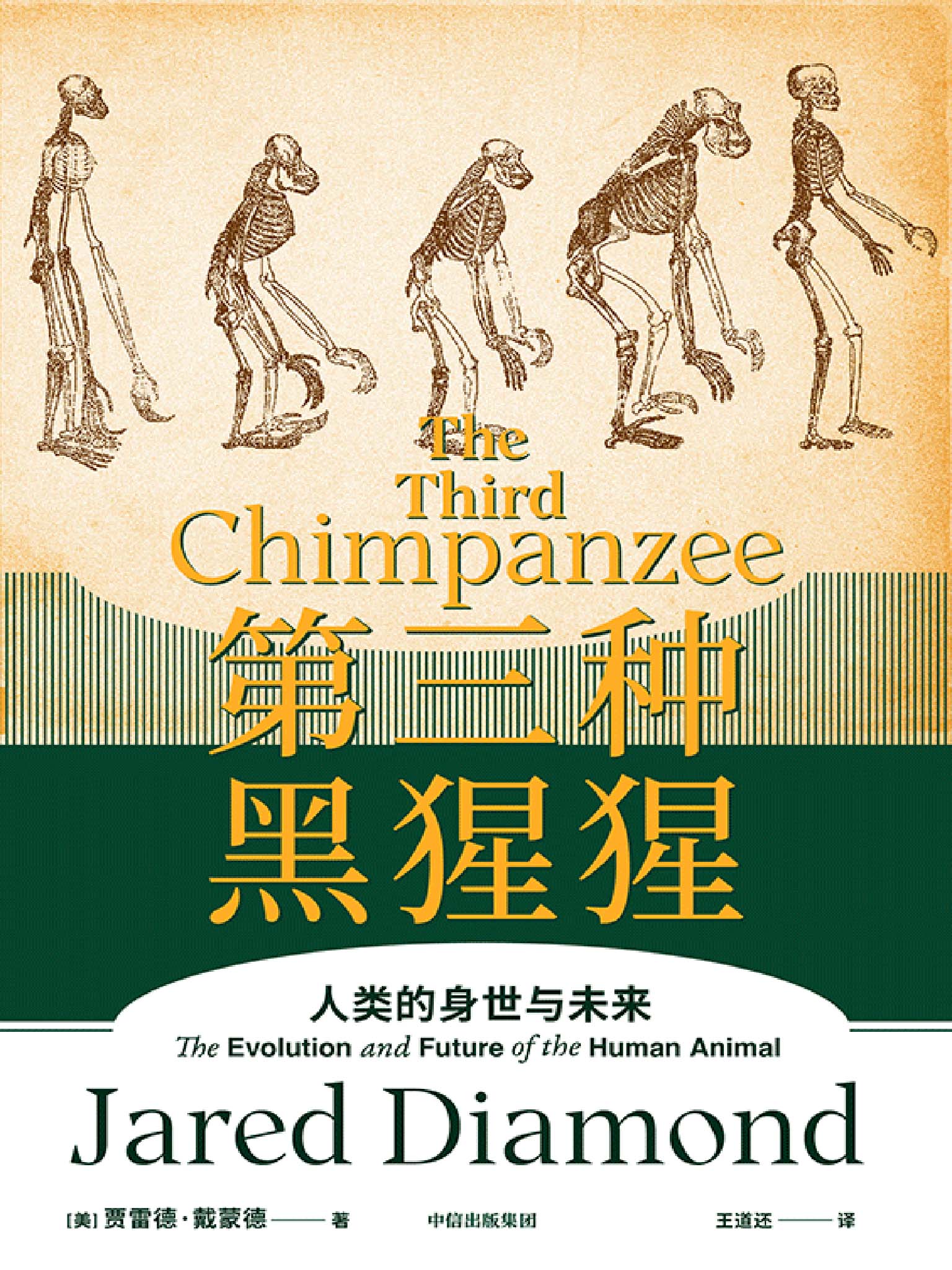 第三种黑猩猩