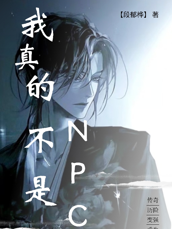 柳贯一小说在线全文免费阅读（我真的不是npc无弹窗无删减）