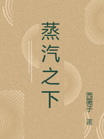 蒸汽之下小说，蒸汽之下在线阅读