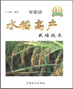 水稻高产栽培技术