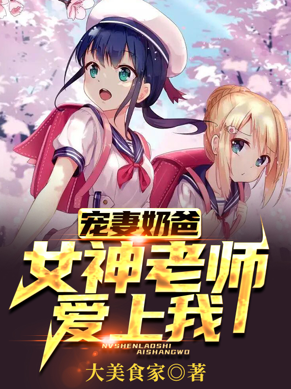 苏天林薇儿小说叫什么（宠妻奶爸：女神老师爱上我免费阅读）