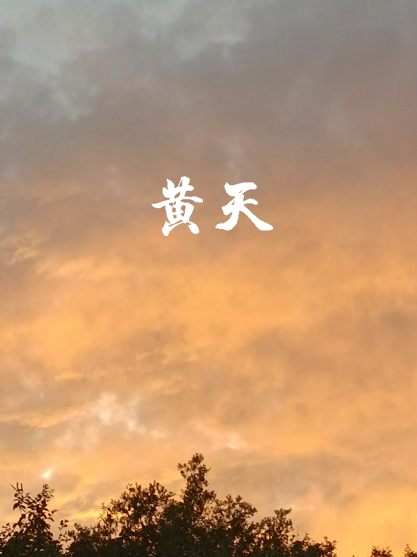 已完结小说《黄天》最新章节-瑞奇文学