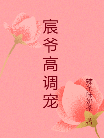 陆云宸颜宋小说叫什么（宸爷高调宠免费阅读）