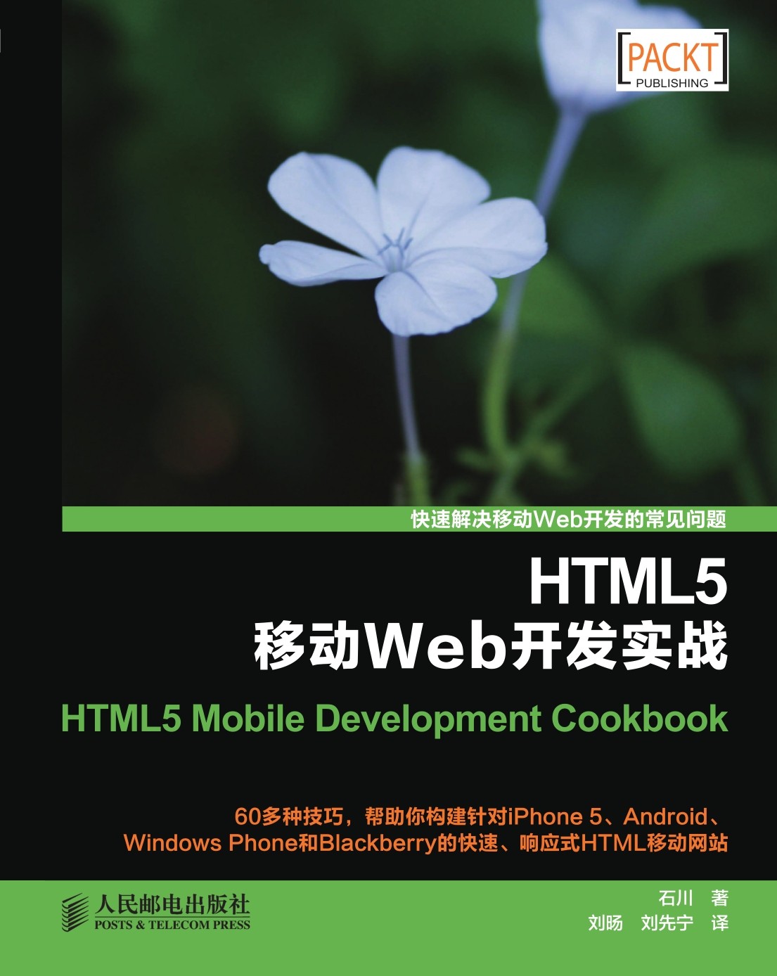 HTML5移动Web开发实战