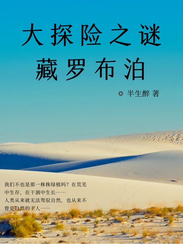 大探险之谜藏罗布泊小说，大探险之谜藏罗布泊方建杜薇-优文网