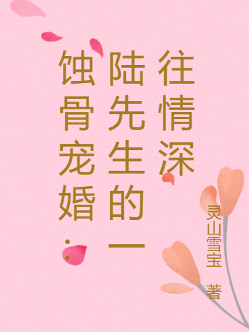 主角叫陆辰沐笙的小说在哪阅读