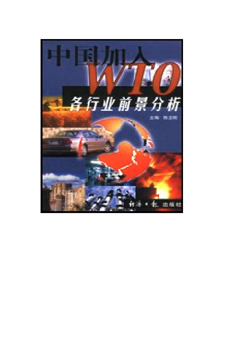 中国加入WTO各行业前景分析