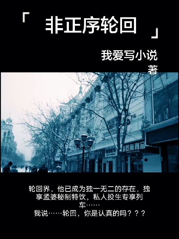 非正序轮回免费阅读，非正序轮回章节目录