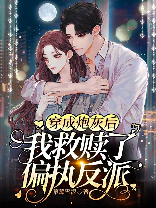 主人公叫江栖月沈聿的小说哪里免费看