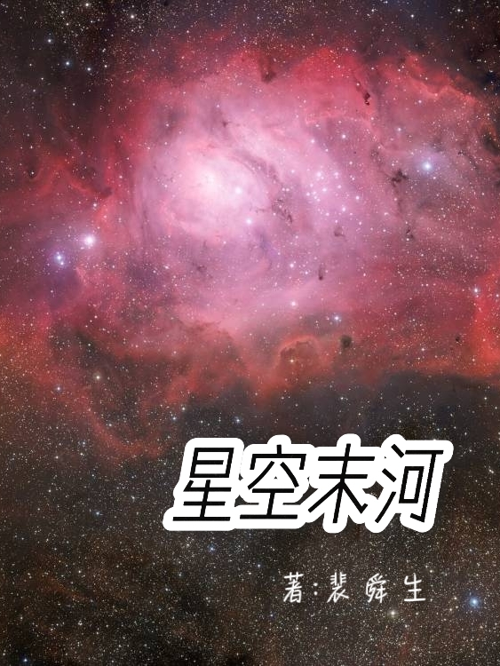 已完结小说《星空末河》全文免费阅读