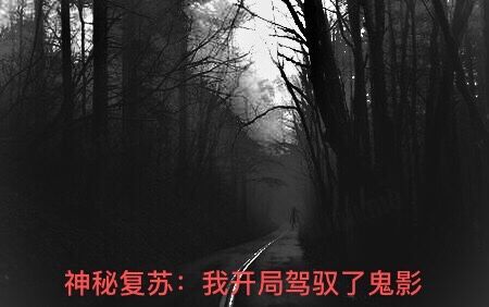 神秘復甦：我開局駕馭了鬼影