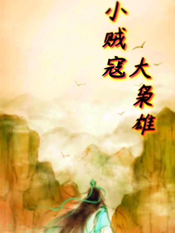 柳风小说最新章节阅读，小贼寇大枭雄全文免费阅读