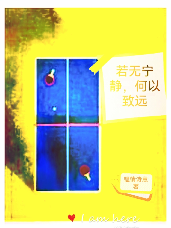 若无宁静，何以致远小说，若无宁静，何以致远何致远宁婧