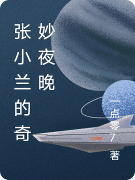 已完结小说《张小兰的奇妙夜晚》在线全文阅读