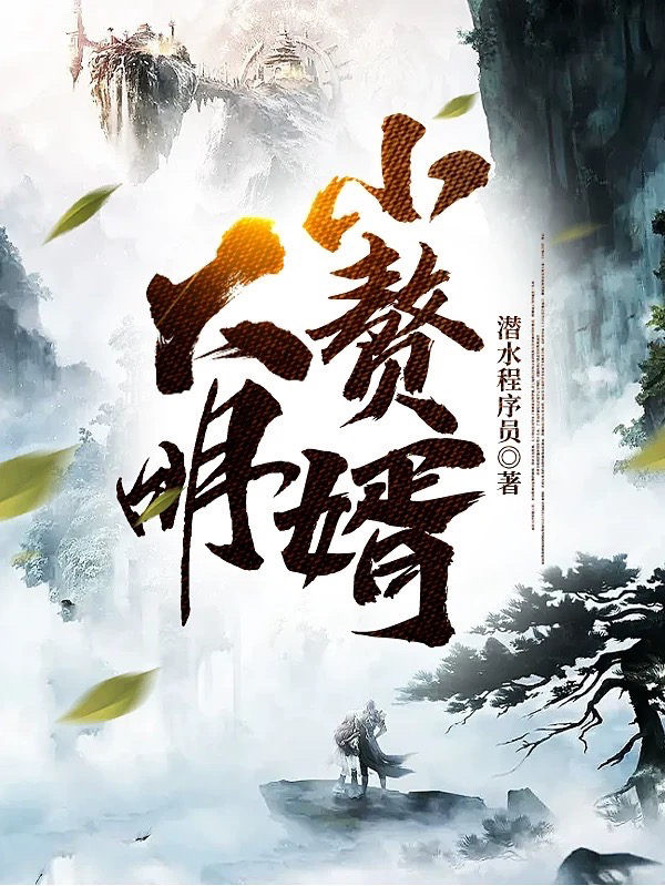 主角林枫禾雨小说大明小赘婿免费阅读