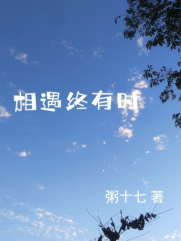 相遇终有时小说免费资源，相遇终有时在线阅读