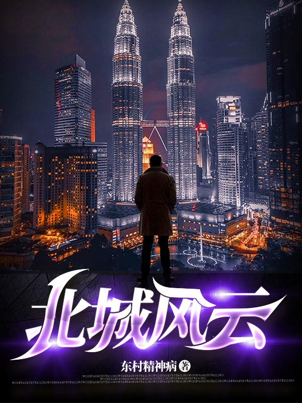 已完结小说《北城风云》在线全文阅读-优文网