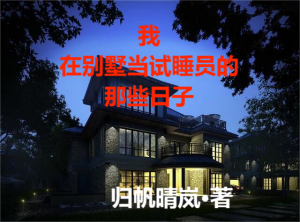 我在别墅当试睡员的那些日子宋温燊崔明_归帆晴岚小说-锤石文学