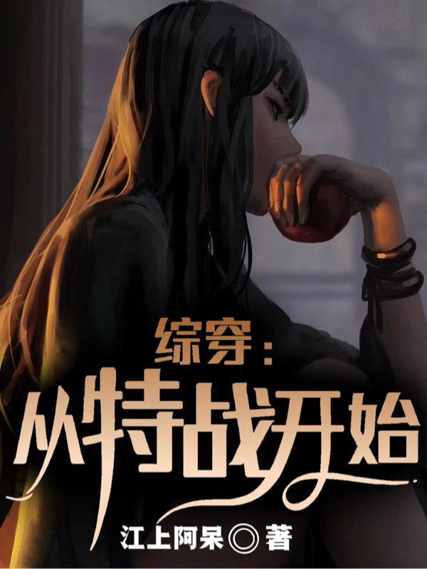 小说《综穿：从特战开始》全文阅读