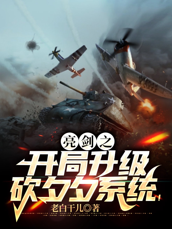 王平李云龙小说《亮剑之开局升级砍夕夕系统！》在线阅读