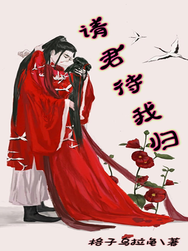 主角叫苏冰墨沐小说请君待我归全文免费阅读