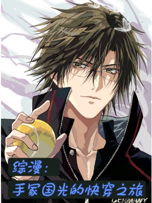 综漫：手冢国光的快穿之旅小说完整版全文免费阅读