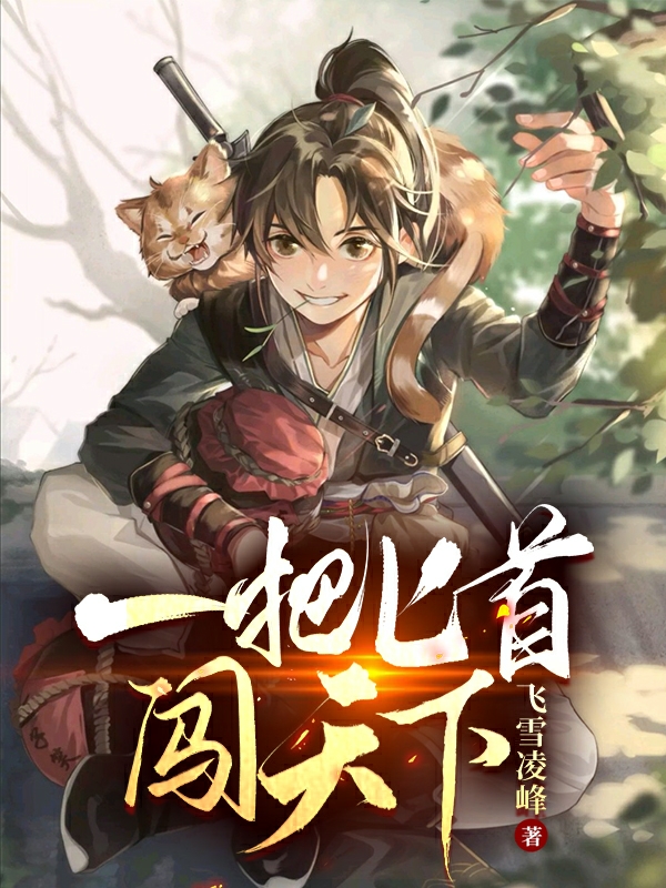 一把匕首闯天下小说，一把匕首闯天下全文在线阅读