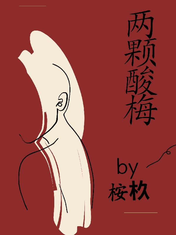 两颗酸梅小说，两颗酸梅在线阅读