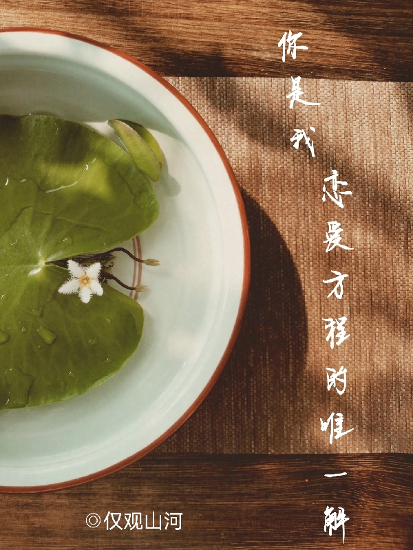 你是我恋爱方程的唯一解小说，你是我恋爱方程的唯一解最新章节
