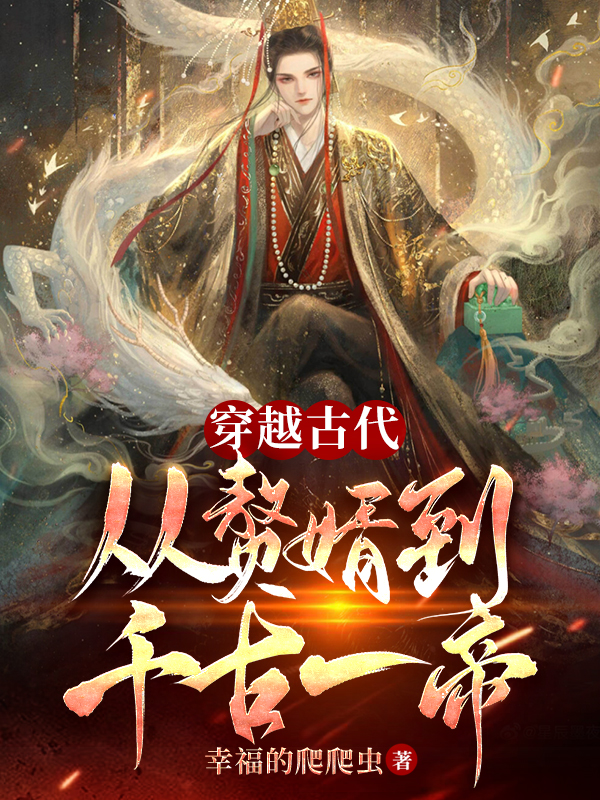穿越古代：从赘婿到千古一帝在线免费看叶城苏沐岚小说无广告阅读