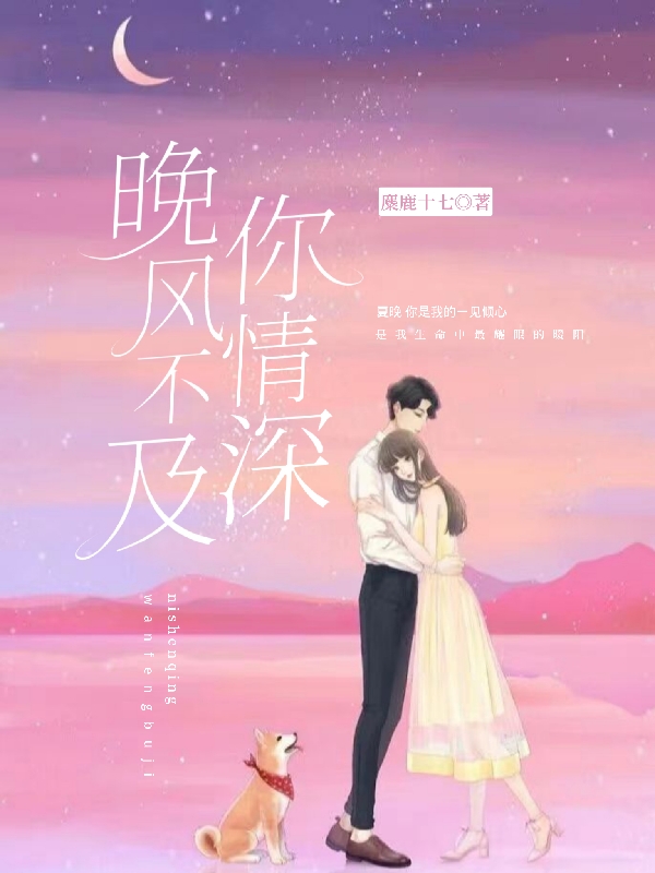 晚风不及你情深免费阅读，沈言夏晚小说精彩章节阅读